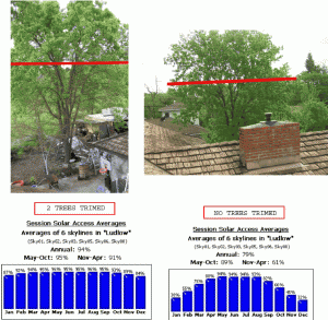 solar-shade-trees