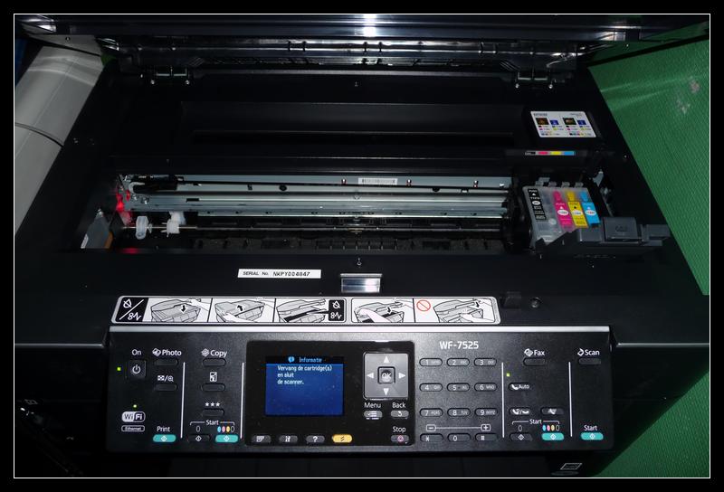Epson T1301 : EPSON Cartouche Cerf
