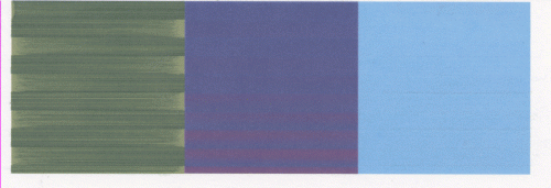 Color Contamination Ink Cross contamination: sometimes might be temporary | PrinterKnowledge ...