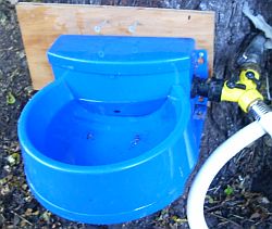 Automatic Chicken Waterer and Feeder – Nifty-Stuff.com